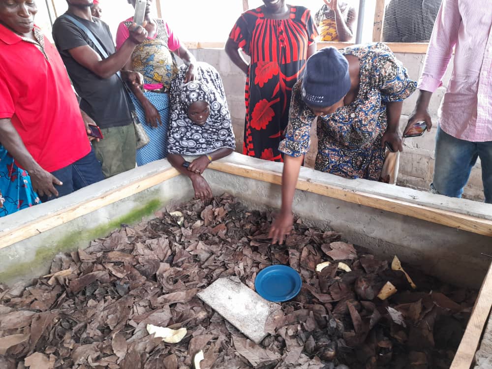 Reportage Covid-19 / L’achatiniculture et la sylviculture pour résister contre la pandémie