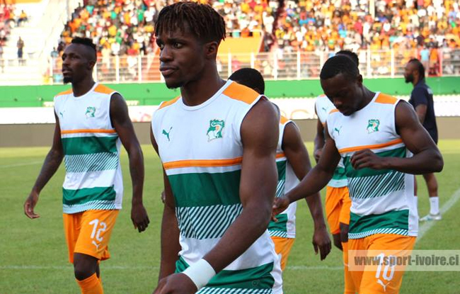 CAN Cameroun 2021 / Les dernières nouvelles des Eléphants