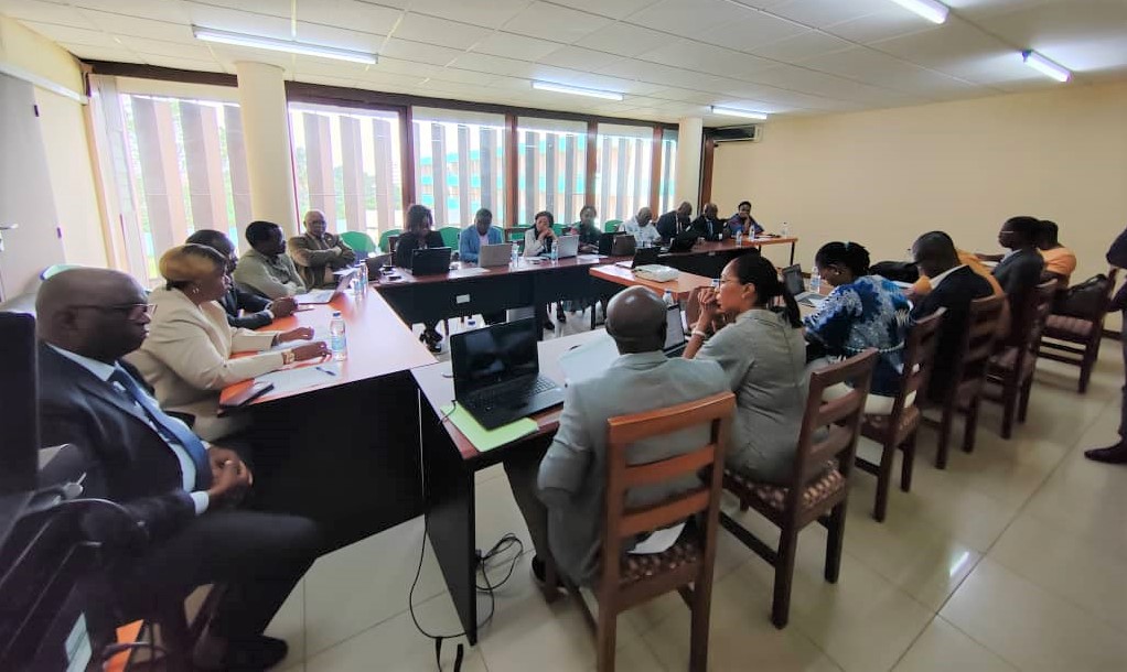 Enjeux et éthique de la recherche en santé / Les professionnels ivoiriens formés à l'utilisation de la plateforme RHInnO-Ethics