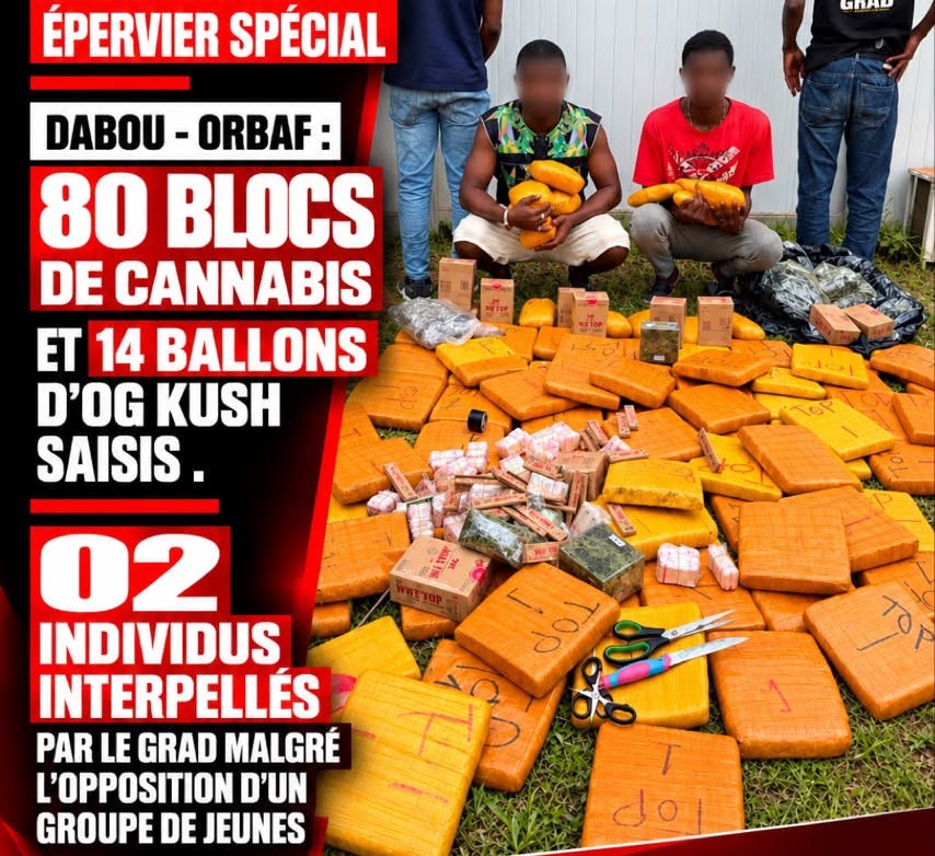 Opération Épervier Spécial / 80 blocs de cannabis et 14 ballons de OG Kush saisis à Dabou Orbaf